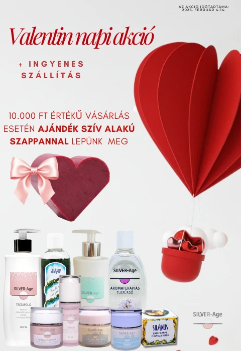 Silverage-valentin-mobil